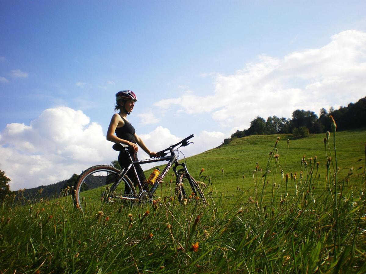 Wanderhotel Sonnebergbaude Waltersdorf  Eksteriør bilde